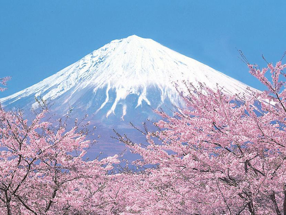 �ձ��|��/����/����/������7����